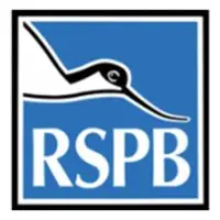 RSPB-oxkx9s4sy2r7yf63u4ehb1mxnfwyy3zkc95a5bf8fa